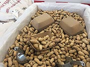 Erdnüsse für zwischendurch oder für die Warteschlange gibt es bei Five Guys gratis (©Foto:Martin Schmitz)